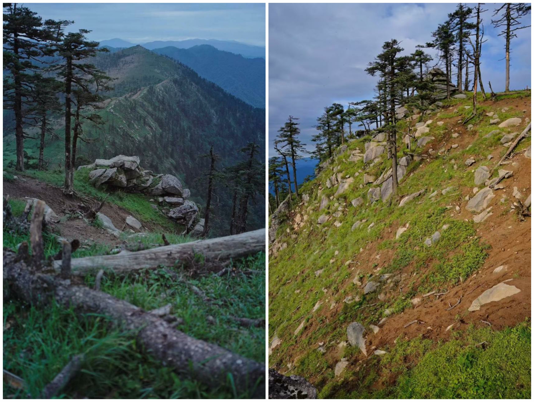 181758177329275242.jpg 181758177329275242.jpg