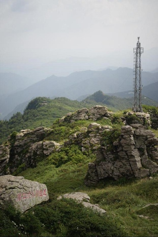 241761303915598597.jpg image3.jpeg